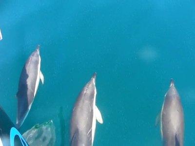 Rencontre du 3ème type