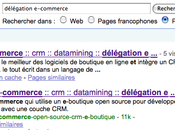 Perfect Sale premier délégation e-commerce selon Google