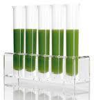 L'ATELIER CULINAIRE FAIT SON MARCHÉ SUR LE NET