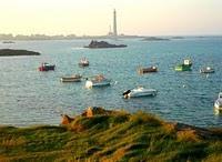 L'ATELIER CULINAIRE FAIT SON MARCHÉ SUR LE NET