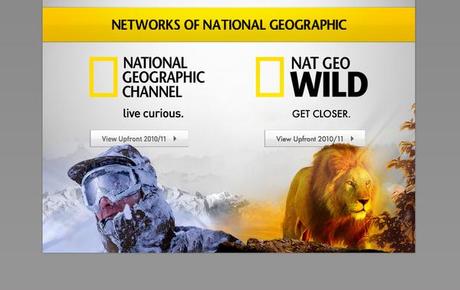 Télé :TNT, Cable, Satellite : quand les chaînes se déchainent