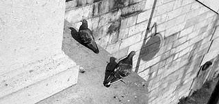 Dans le coin de chez moi