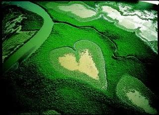 à distance de la réalité