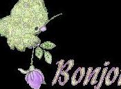 macarons fraises confiture framboise violette.