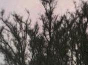 Fаbiо Оrsi Wintеrrеisе