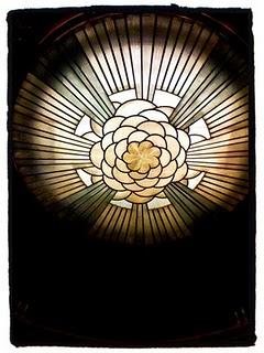 Photos du jour / Pictures of the day