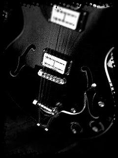 Photos du jour / Pictures of the day