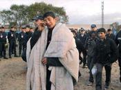 cynisme puisque c'est tout nous reste