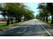 2,65 d’alcool volant d’une tondeuse