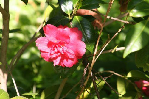 kramer veneux 23 avril 026.jpg