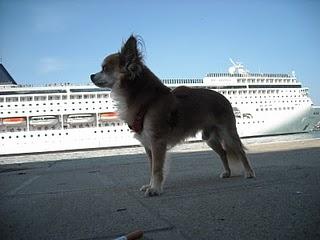 Promenades dans Venise