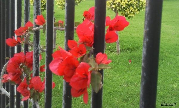 Down There By The Train - Biserko Fercek.jpg