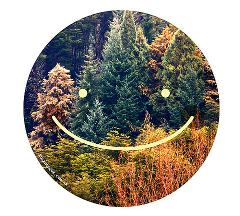 Notre conseil durable : intéressez-vous au sujet !