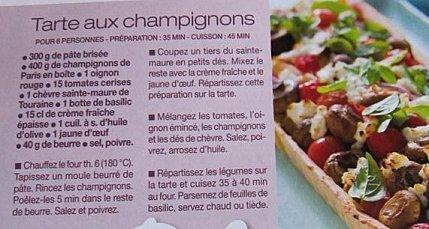 Les champignons à l'honneur Projet1.jpg