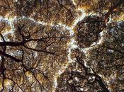 Retour action avec Jacques castermane