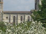 fête plantes l’environnement Jardins Coursiana Edition 2010 Quelques arbres étonnants