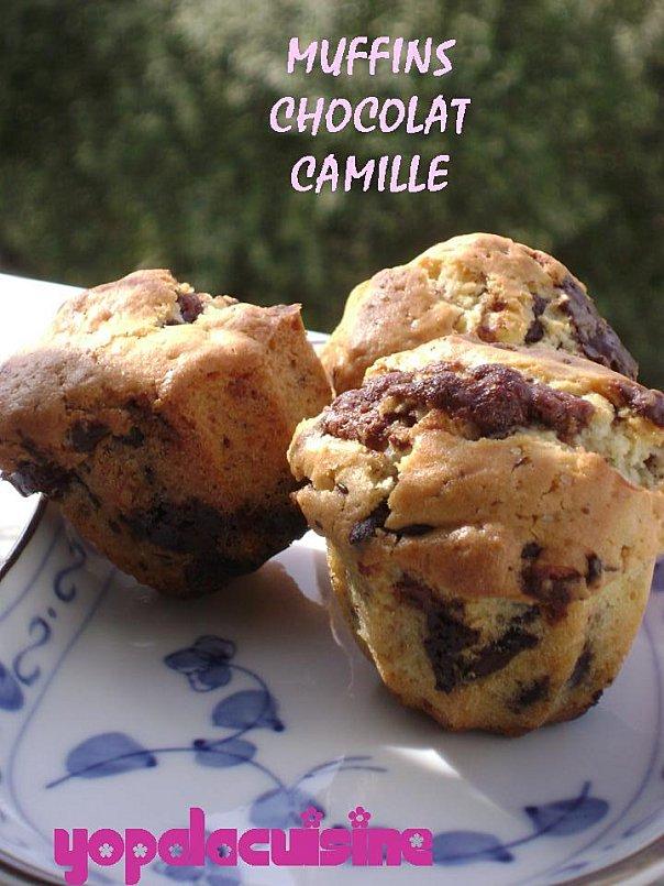 Diapositive3-copie-4