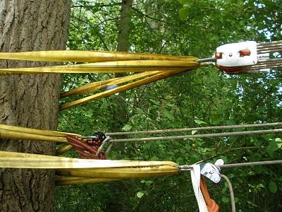 Longline...retour sur d'excellentes sensations!