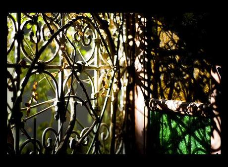 Lumières de Marrakech Lumières de Marrakech