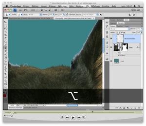 Astuce : décontaminer vos cheveux