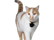 Eyenimal, caméra votre animal compagnie