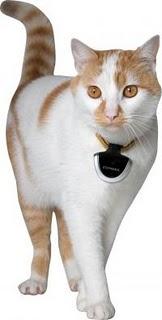 Eyenimal, la caméra de votre animal de compagnie