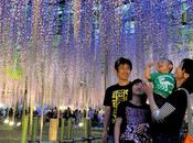 Tout pareil, presque...