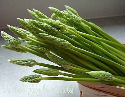 Asperges-bois.jpg