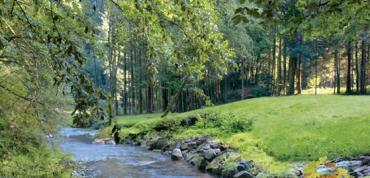 Center Parcs ouvre son premier domaine écologique en Lorraine