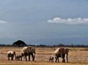 Voyages luxe romantiques originaux