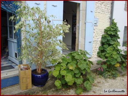 11 mai 2010 à Meschers