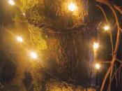 Lucio autres lucioles d'espoir