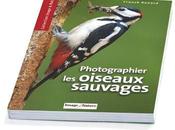 Photographier oiseaux sauvages Franck Renard