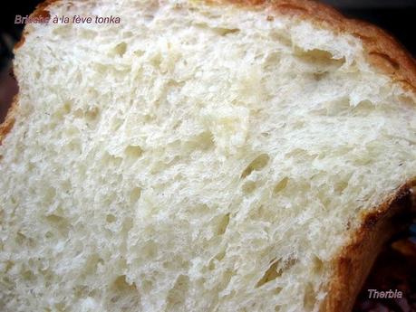 Brioche à la fève tonka http://lh6.ggpht.com/_R_hDG-ur51A/S-XJLnkSxoI/AAAAAAAAKIQ/387CfJVHKiY/s800/IMG_2336.JPG