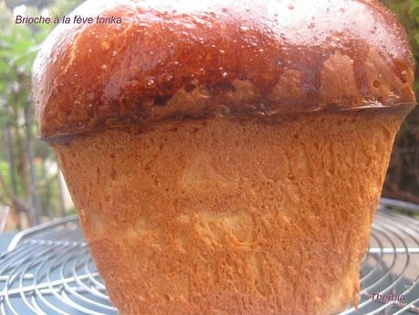 Brioche à la fève tonka http://lh6.ggpht.com/_R_hDG-ur51A/S-XJJoc-TTI/AAAAAAAAKIE/O3QXzSDmCMo/s800/IMG_2333.JPG