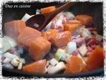 cocotte_saumon3_copie