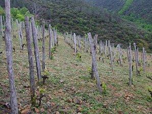premier terrasse Curé propre Mai 2010