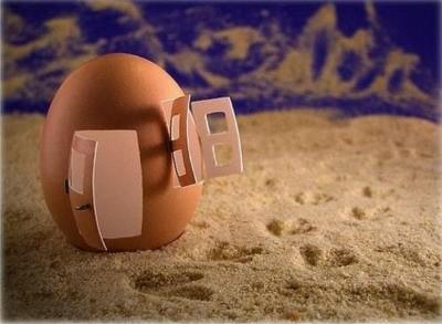 Art & Food : Artistes Cuisiniers, leurs plus belles créations !