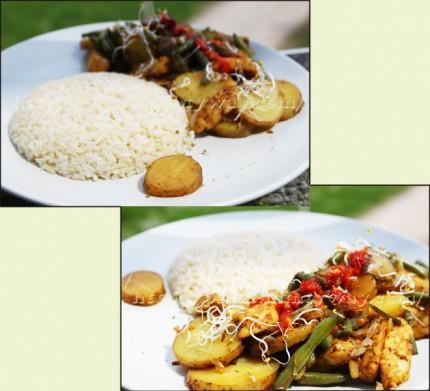 RizTempehLegumesSautesPIGUT Riz accompagnant des légumes et tempeh sautés