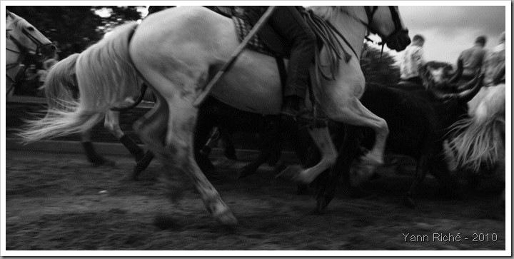 2010 Ales feria 085 mod web