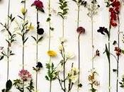 mur+des fleurs=une idée déco fleurie