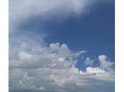 CINEMA: BULLE CANNOISE maillon faible/the weakest link