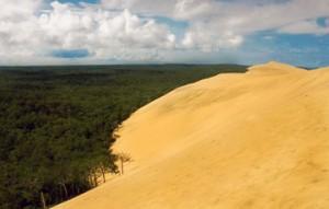 les dunes du Pyla