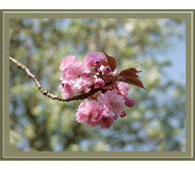 La cuisine , ses astuces de chef et Tag de Souska Image hébergée par Casimages.com : votre hébergeur d images simple et gratuit