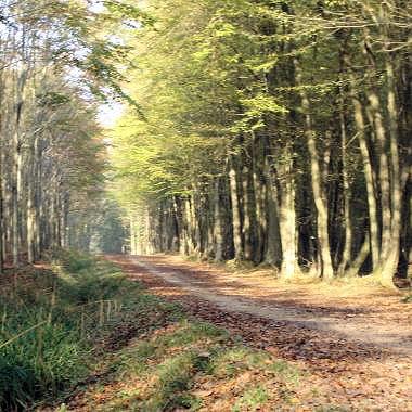 Connaissez-vous sur la colline...