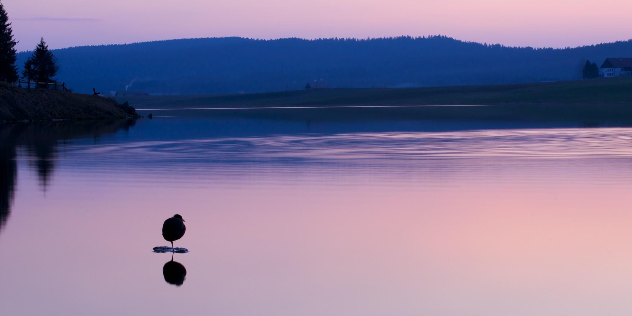 Panorama au Lac des Taillères