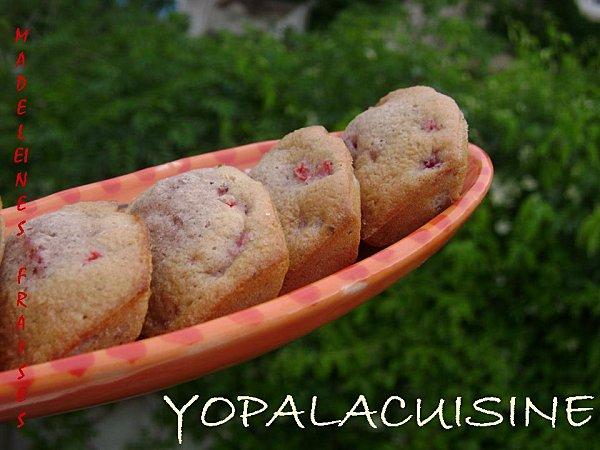 Diapositive3-copie-7