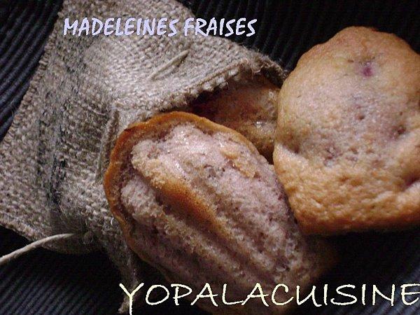 Diapositive4-copie-2