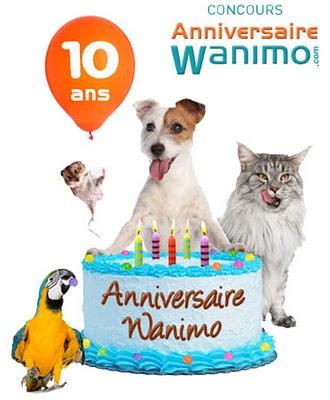 Gagnez 1 an de cadeau (plus de 7 000€ de prix) avec Wanimo !