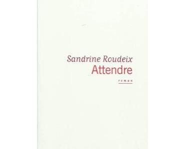 La comparaison comme révélateur visuel de la poésie et de la cruauté de l’instant